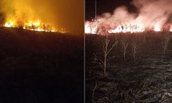 Afyonkarahisar'da arazi yangını