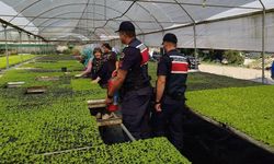 Bilecik'te Jandarmadan sera sahiplerine yangın uyarısı