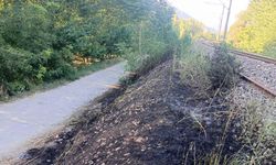 Bilecik'te YHT hattı kenarında yangın çıktı