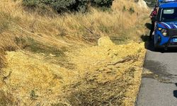 Bilecik'te yol kenarına atılan sigara izmariti yangına neden oldu