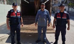 Eskişehir’de çalınan büyükbaş hayvanlardan biri Bilecik’te bulundu