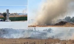 Eskişehir'de otluk alanda çıkan yangın paniğe neden oldu