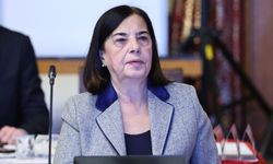 Süllü: Organize kötülükle gittiler