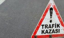 Afyonkarahisar'da devrilen otomobilde 2 kişi yaralandı