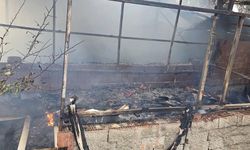 Bilecik'te elektrik hattından çıkan kıvılcım bahçeyi alevlere teslim etti