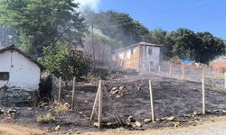 Bilecik'te orman yangınına sebebiyet veren şahıs gözaltına alındı