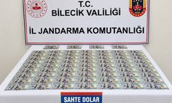 Bilecik’te otomobilde 202 adet sahte dolar ele geçirildi