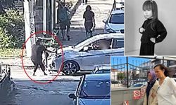 Eskişehir’de 3 yaşındaki Mavi’nin ölümüne ilişkin şüpheli tutuklandı