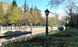Eskişehir'de sıcaklığın 2 ila 4 derece artması bekleniyor
