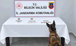 Bilecik'te narkotik köpeği uyuşturucuyu kokusundan buldu