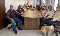 Eskişehir Kent Konseyi'nden 4 Ekim mesajı: Hayvanların yaşam hakkını savunmaya devam edeceğiz