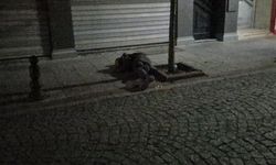 Eskişehir'de gece yarısı korkutan olay: Sokakta iki kez yere yığıldı