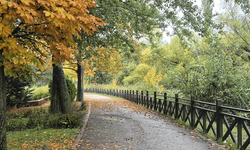 Eskişehir'de sonbahar manzarası mest etti
