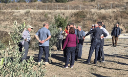Eskişehir'in zeytin potansiyelini artırmak için önemli eğitim