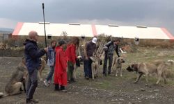 İtalyanlar, Eskişehir'deki Türk çoban köpeklerine hayran kaldı