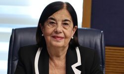 Süllü'den iktidara AB çağrısı: "Önce kendi ev ödevimizi yapalım"
