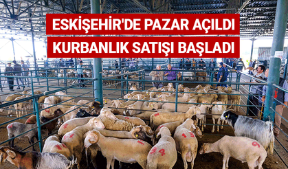 Eskişehir'de pazar açıldı kurbanlık satışları başladı