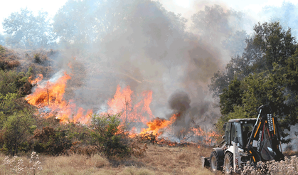 Bilecik’te orman yangınına müdahaleler devam ediyor