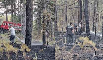 Bozüyük'te düşen yıldırım ormanı yaktı