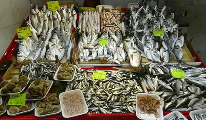 Eskişehir’de balıklar tezgaha indi: İşte fiyatlar