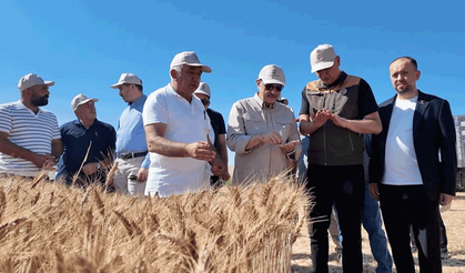 Dönmez: Eskişehir'de bu yıl buğday üretimi 1 milyon tona yaklaşacak