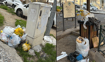 Eskişehir’de park ve elektrik panolarının çevresi çöplerle doldu