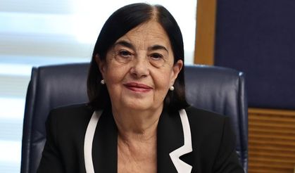 Süllü'den iktidara AB çağrısı: "Önce kendi ev ödevimizi yapalım"