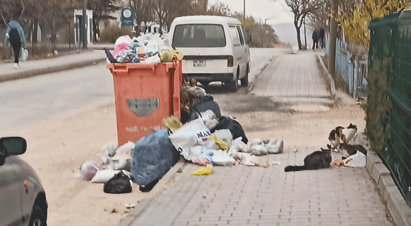 Odunpazarı'nda kente yakışmayan çöp görüntüleri