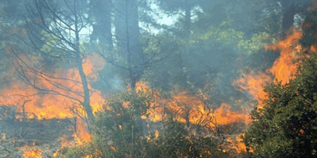 Afyon'da ormanlık alanlarda ateş yakmak yasaklandı
