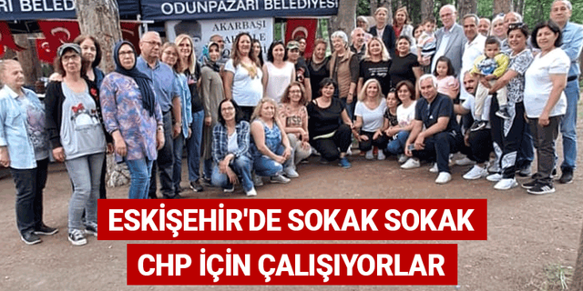 Eskişehir'de sokak sokak CHP'nin iktidar olması için çalışıyorlar