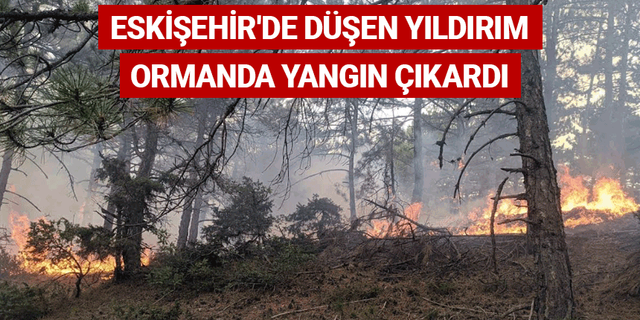 Eskişehir'de düşen yıldırım ormanda yangın çıkardı