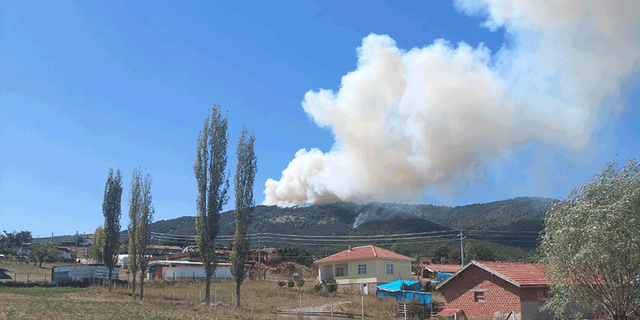 Eskişehir'de orman yangını