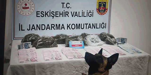 Eskişehir'de kaplıcaya uyuşturucu operasyonu