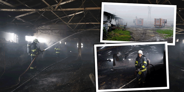 Eskişehir'de çiftlikte büyük yangın! Binlerce civciv telef oldu