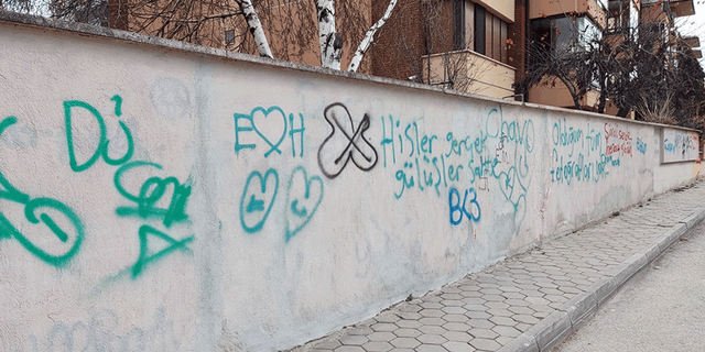 Eskişehir'de vandalların hedefinde bu sefer site duvarları var