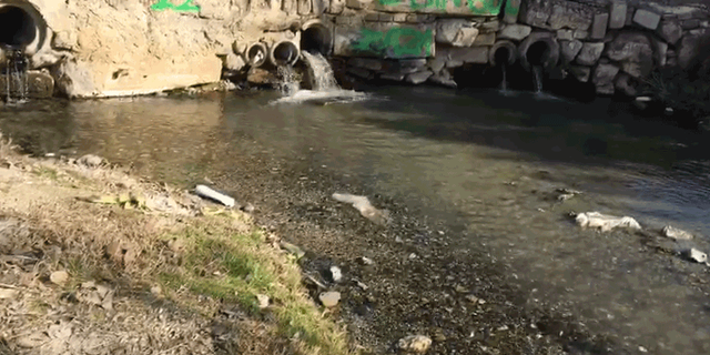 Kaymaz'da sular boşa akıyor yetkililer sadece bakıyor