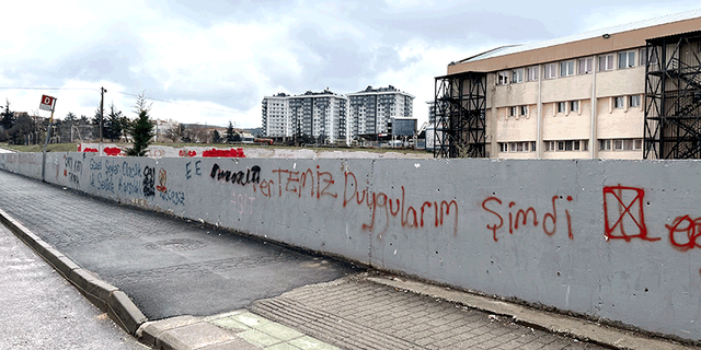 Eskişehir'de 200 metrelik duvar vandalların hedefi oldu
