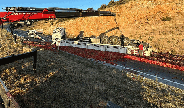 Eskişehir’e gelirken devrildi! Tonlarca domates yolu kapattı