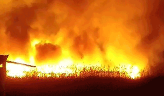 Afyon'da bir yangın daha: Metrelerce yükseldi