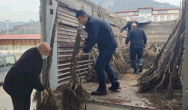 Bilecik'te çiftçiye teşvik: Fidanlar dağıtıldı