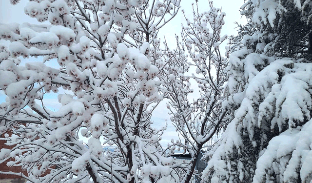 Eskişehir’de kartpostallık görüntü: O bölge karla uyandı