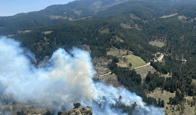 Kütahya'da orman yangını: 2 hektarlık alan kül oldu
