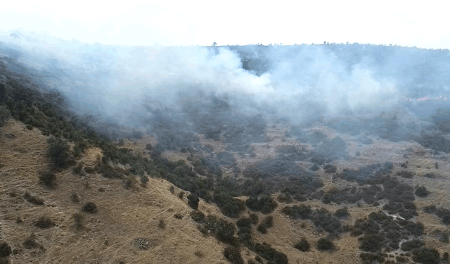 Afyon'da yangın paniği: Ekipler seferber oldu