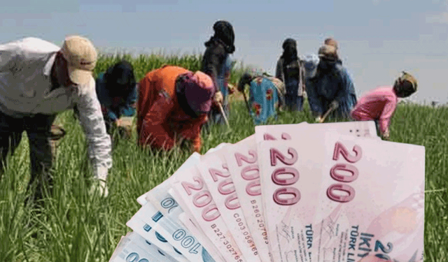 Eskişehir, tarım işçisi ücretlerinde Türkiye ortalamasını aştı