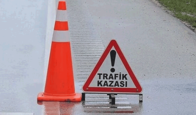 Afyon'da şarampole devrilen araçta 2 kişi yaralandı