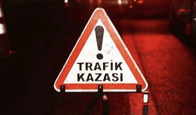 Afyonkarahisar'da ağaca çarpan otomobilde 2 kişi yaralandı