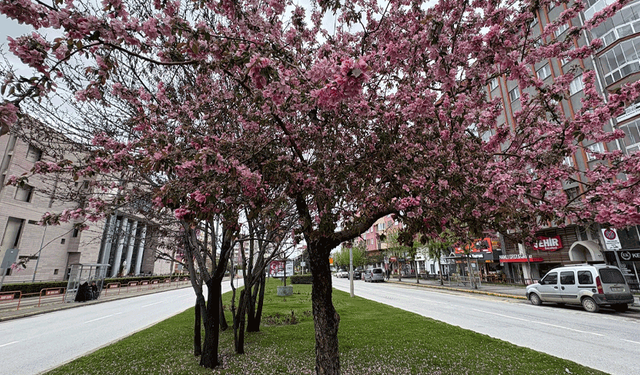 Eskişehir’de sıcaklıklar artıyor