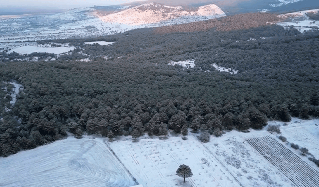 Eskişehir’in kırsal mahallelerinde kar etkili oldu