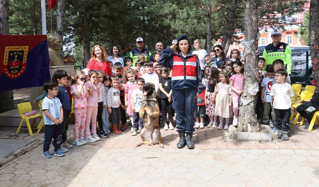 Bilecik'te 60 öğrenciye jandarmadan güvenlik eğitimi