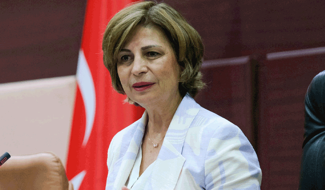 Ünlüce: “Bu kararlarda en çok ülkemize üzülüyorum”